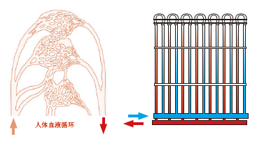 毛細(xì)管網(wǎng)輻射采暖系統(tǒng)簡介